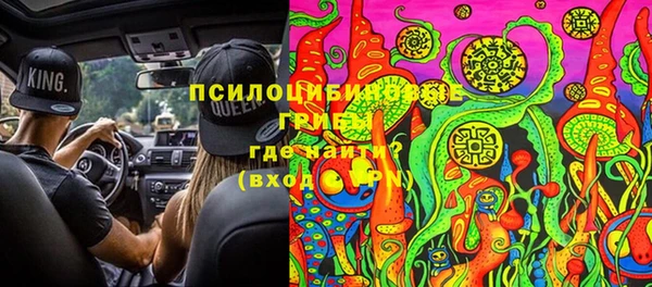 гашик Балахна