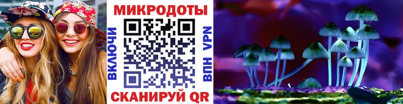 Галлюциногенные грибы прущие грибы  что такое наркотик  Устюжна 